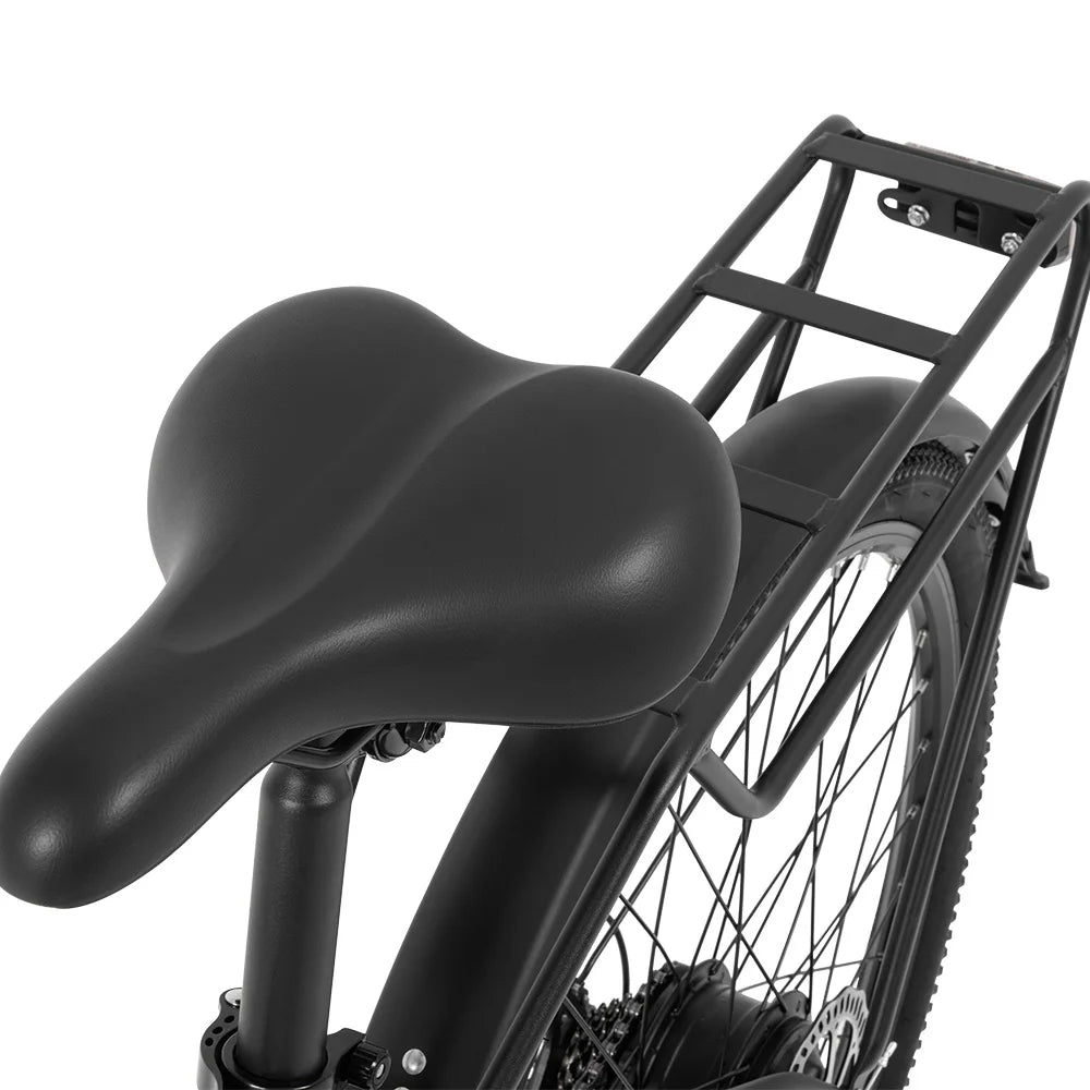 DYU C5 Adult City Electric Bike, Brushless Motor, Built-in Lithium Battery, 350 Inch, 48V, 10Ah, 27.5W