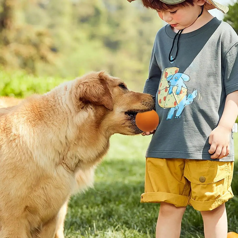 Squash Balls Professional High Elasticity Rubber Squash Bounce Ball High Visibility Sports Small Bouncing Hollow Sport Balls