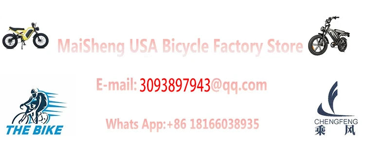 EBIKE S8 Adult Electric Bicycle Men2000W Dual Electric Motor Bicycle 48V 25AH Battery 20