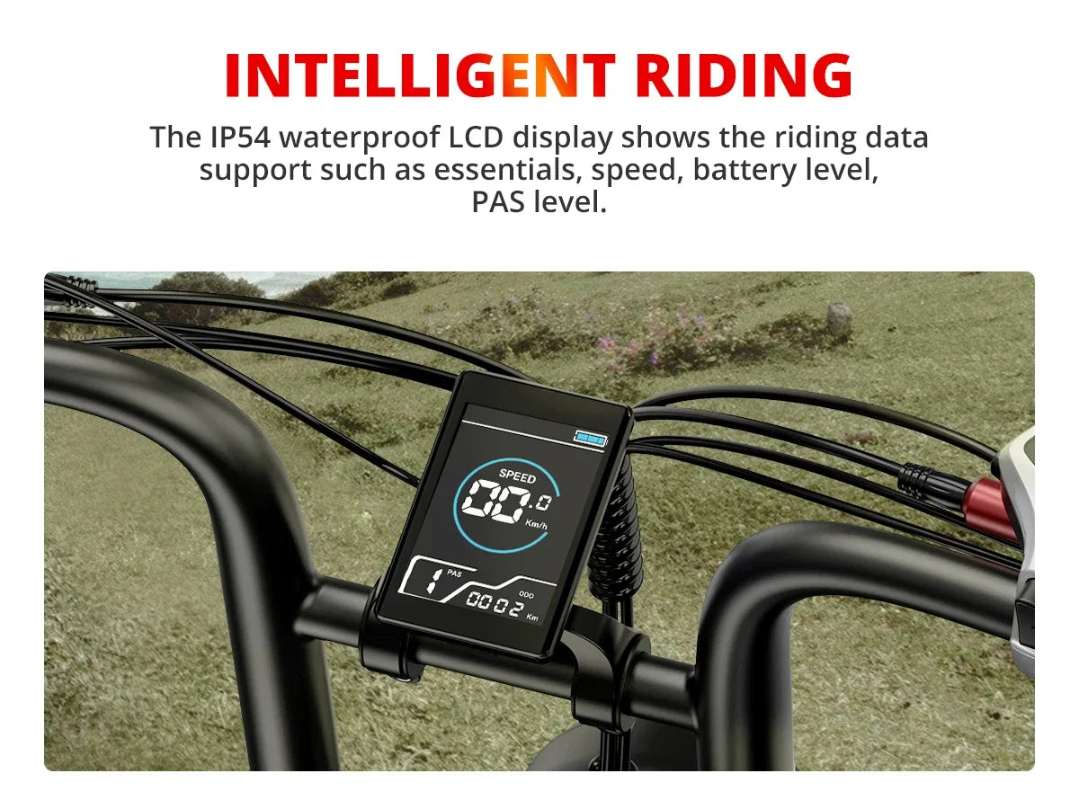 EBIKE S8 Adult Electric Bicycle Men2000W Dual Electric Motor Bicycle 48V 25AH Battery 20