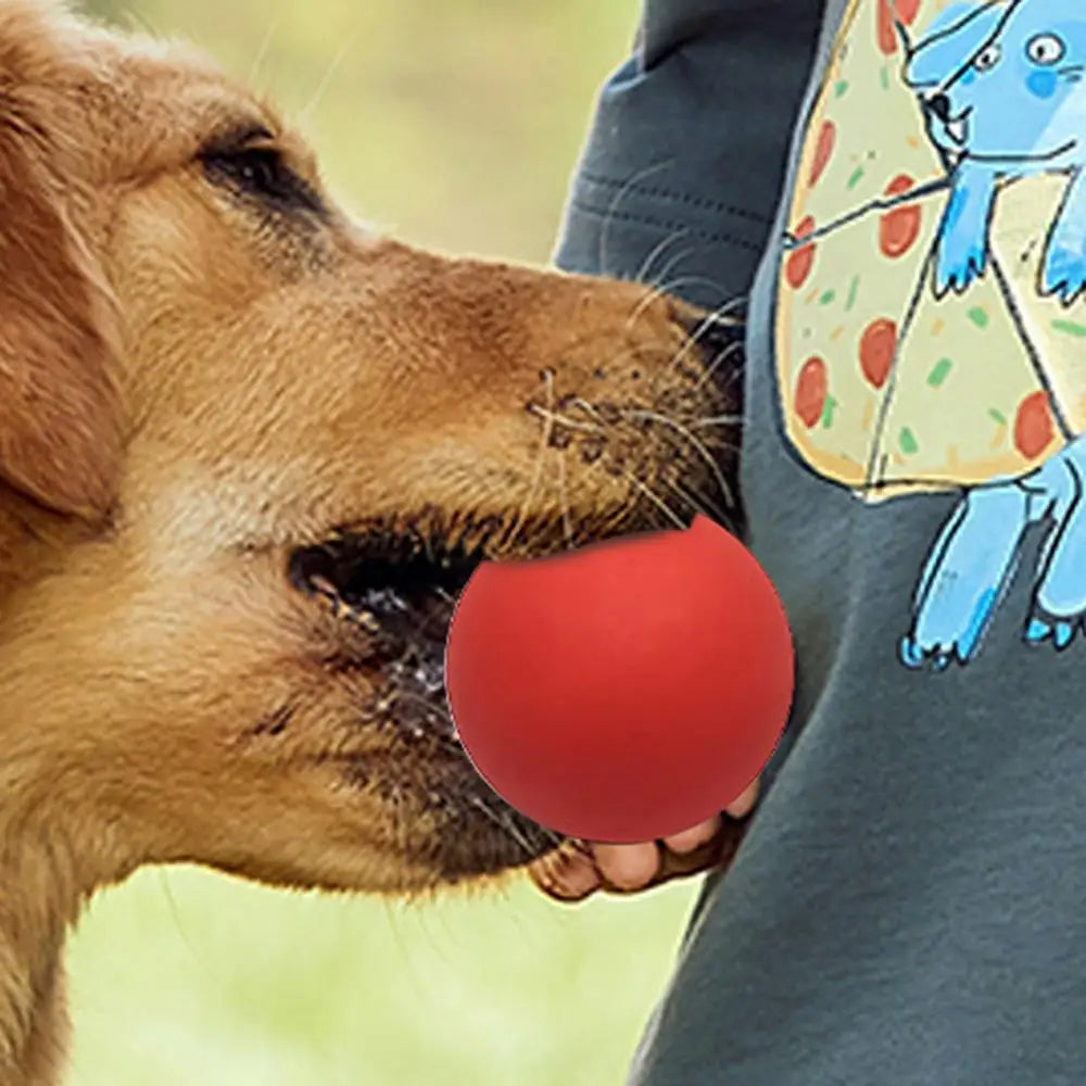 Squash Balls Professional High Elasticity Rubber Squash Bounce Ball High Visibility Sports Small Bouncing Hollow Sport Balls