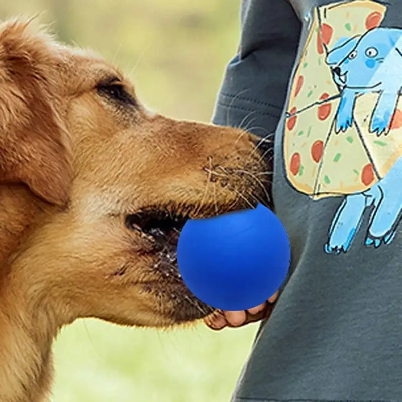 Squash Balls Professional High Elasticity Rubber Squash Bounce Ball High Visibility Sports Small Bouncing Hollow Sport Balls