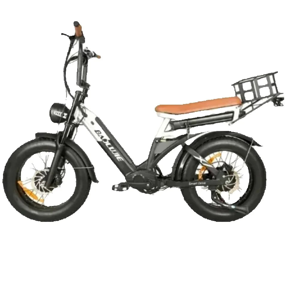 Electric bicycle BAOLUJIE 2000W  48V 30AH battery adult Electric bike 20-inch tire Multi functional all terrain E-bike